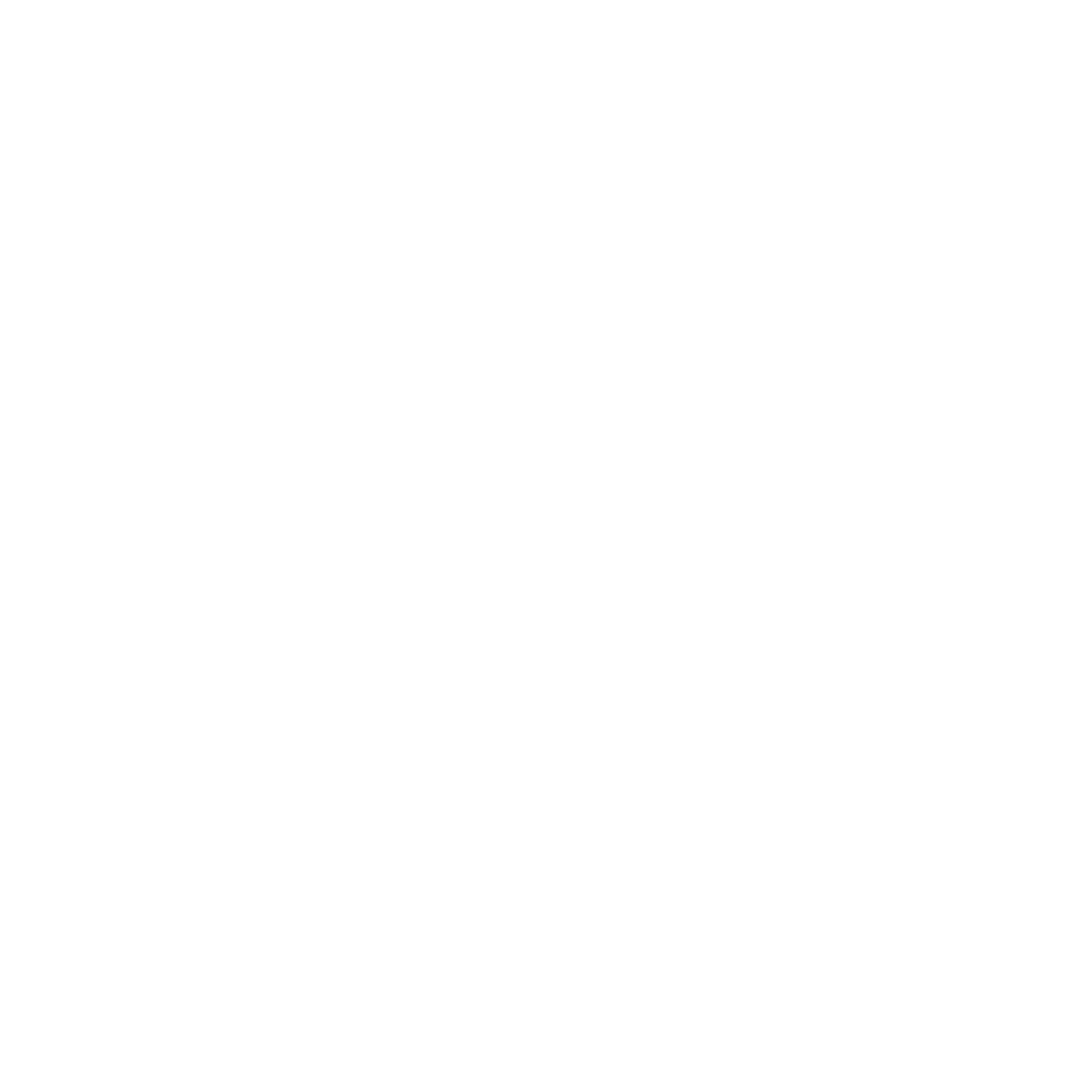 Stroe Logo